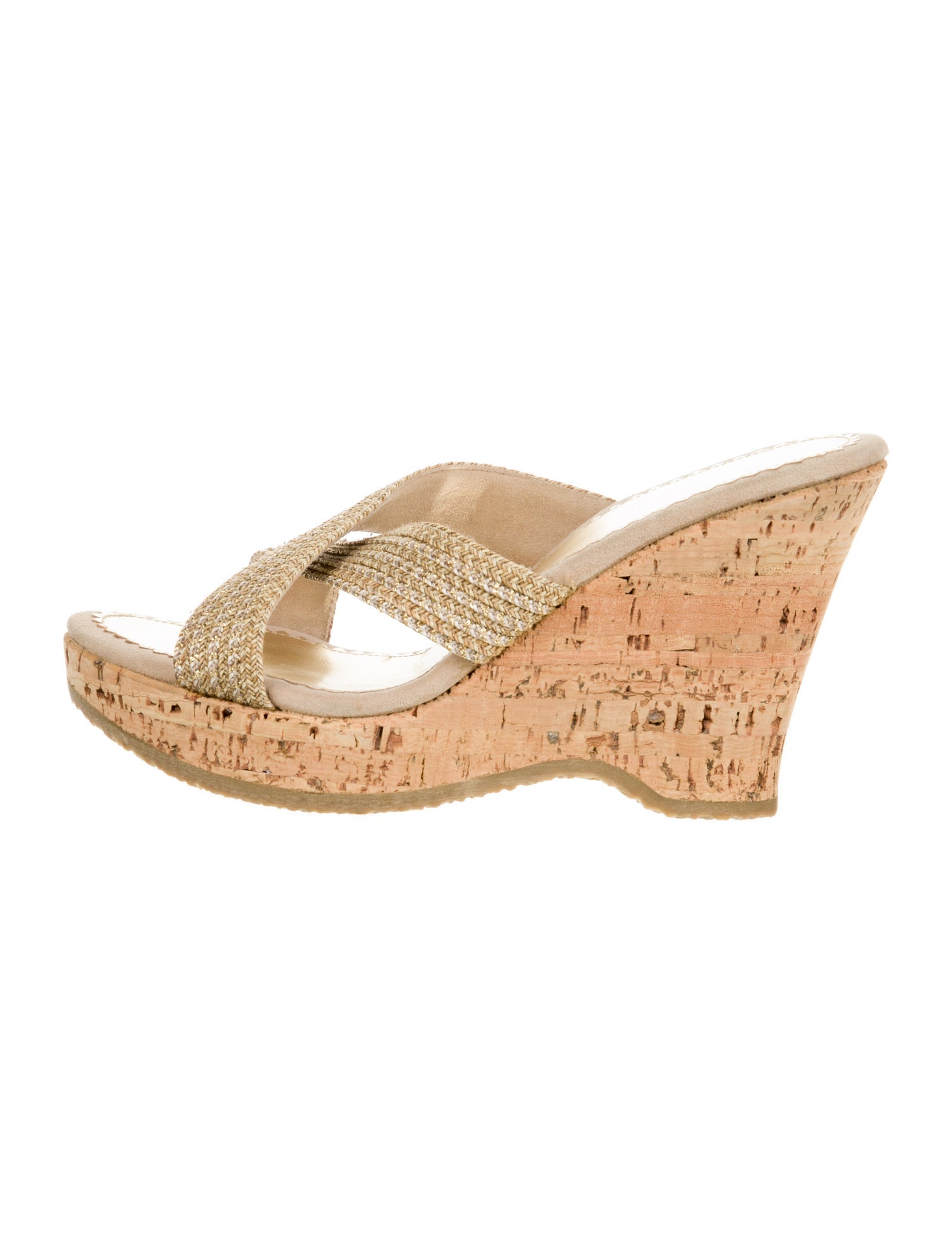 Eric Javits Canvas Slides