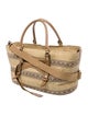 Eric Javits Straw Top Handle Bag