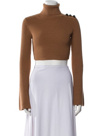 Elisabetta Franchi Turtleneck Sweater