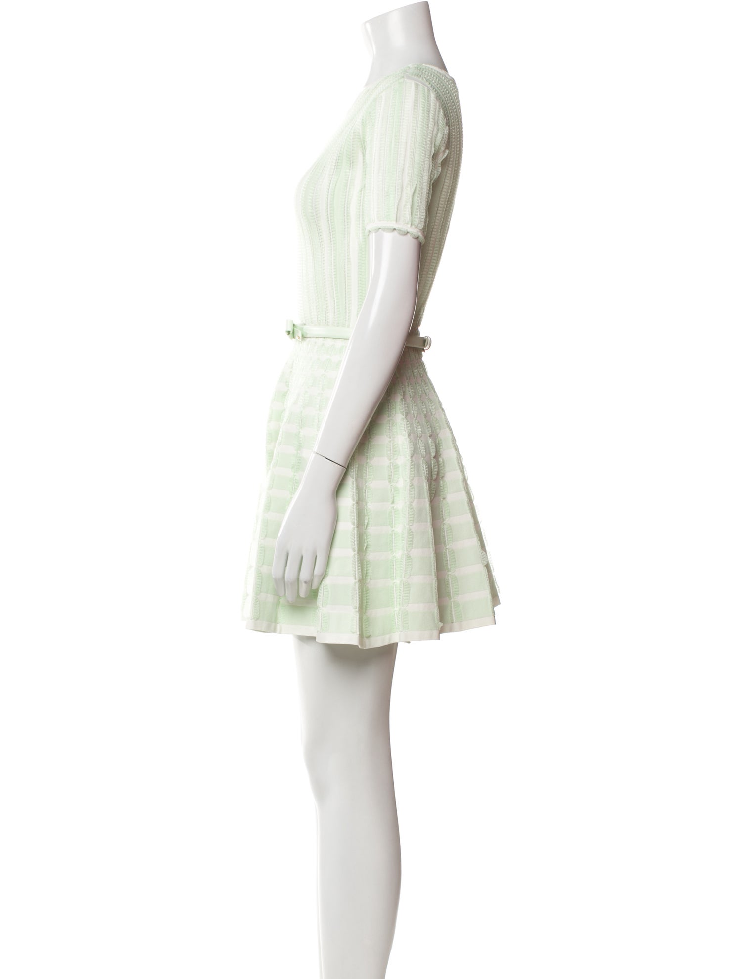 Elisabetta Franchi Striped Mini Dress