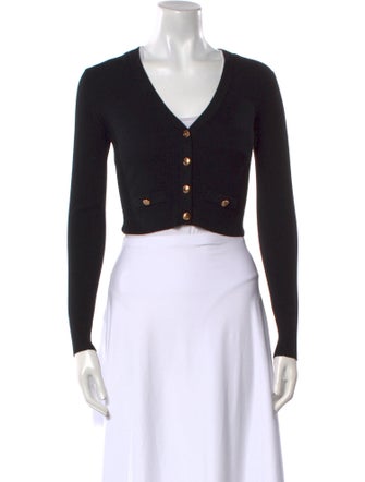 Elisabetta Franchi V-Neck Sweater