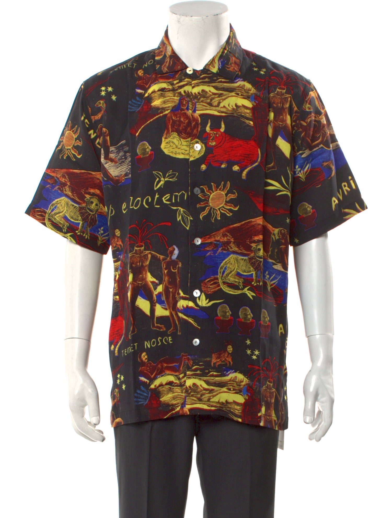 Endless Joy Printed Short Sleeve Shirt