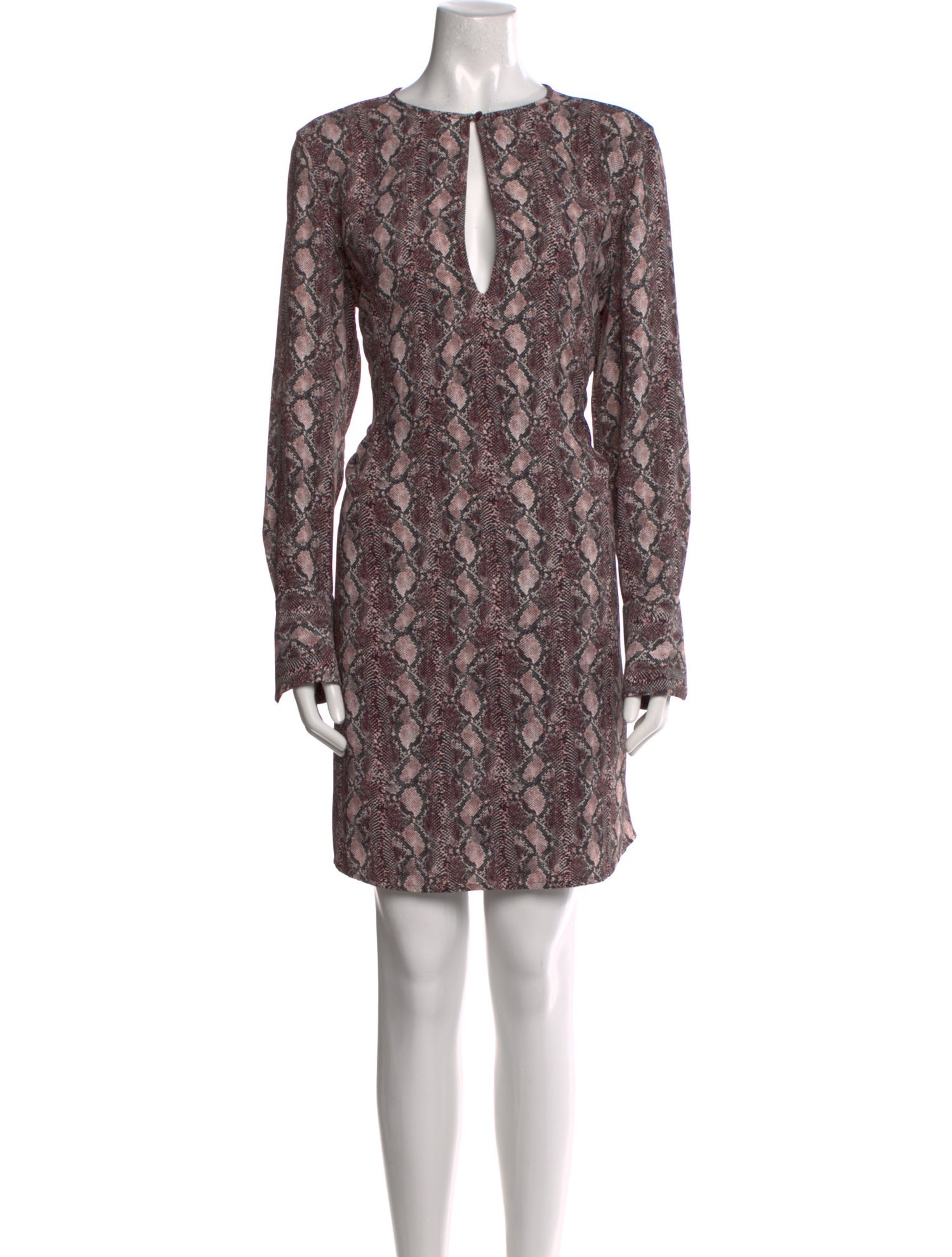 Equipment Animal Print Mini Dress