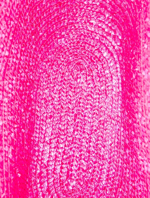 Eugenia Kim Raffia Top Handle Bag