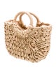 Eugenia Kim Raffia Top Handle Bag