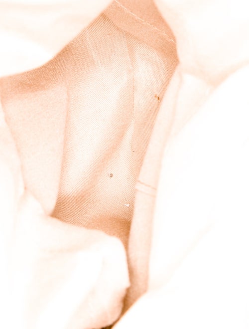 Eugenia Kim Raffia Top Handle Bag