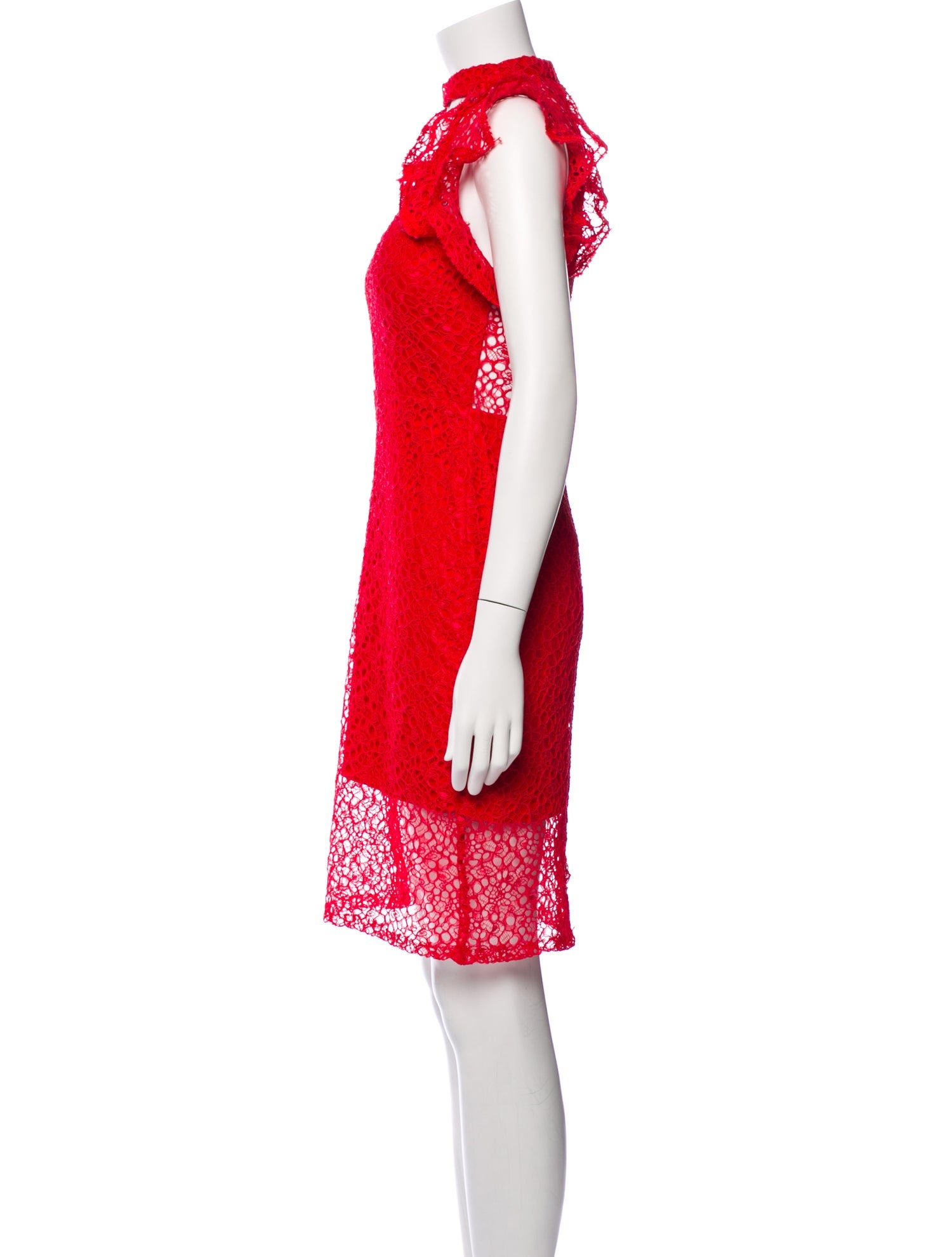 Alexis Lace Pattern Mini Dress