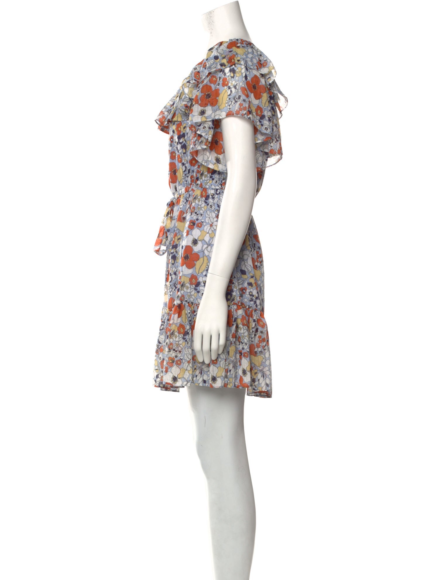 Alexis Floral Print Mini Dress
