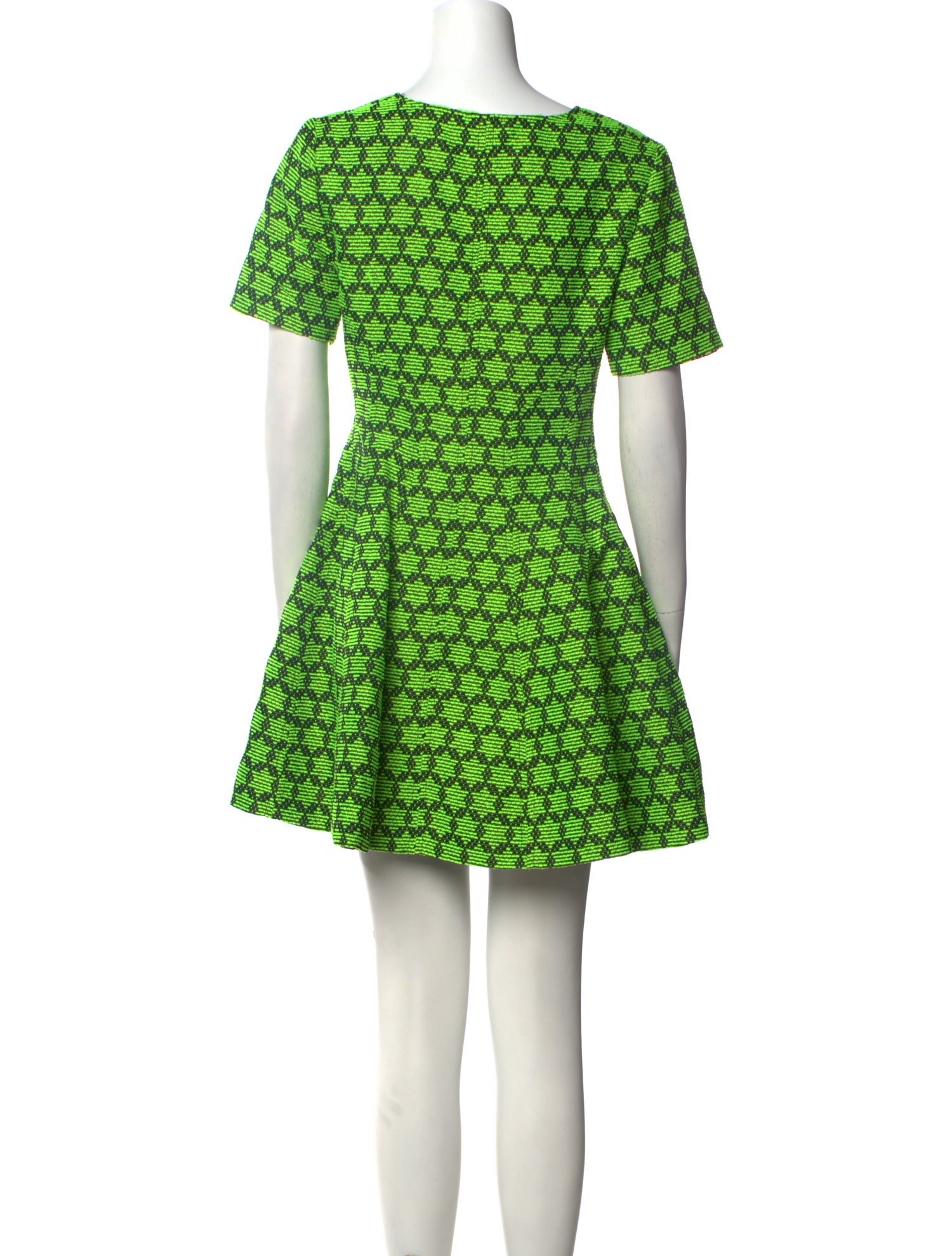 Alexis Printed Mini Dress