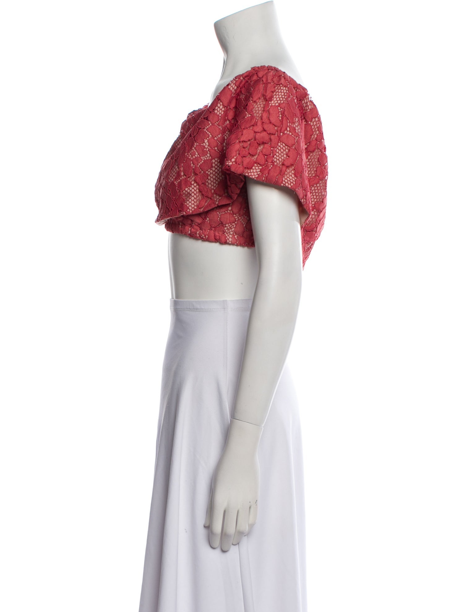 Alexis Nylon Lace Pattern Crop Top