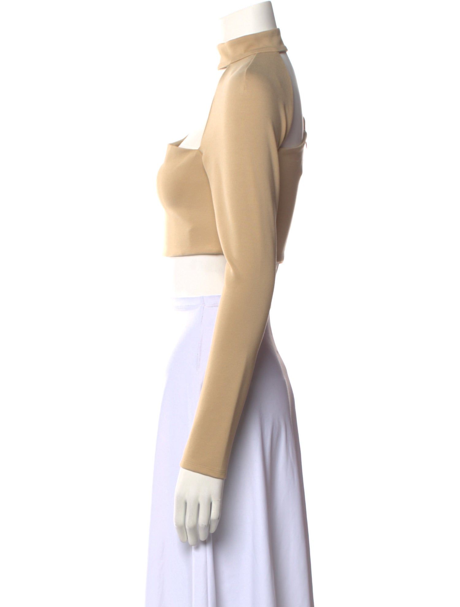 Alexis Mock Neck Long Sleeve Crop Top