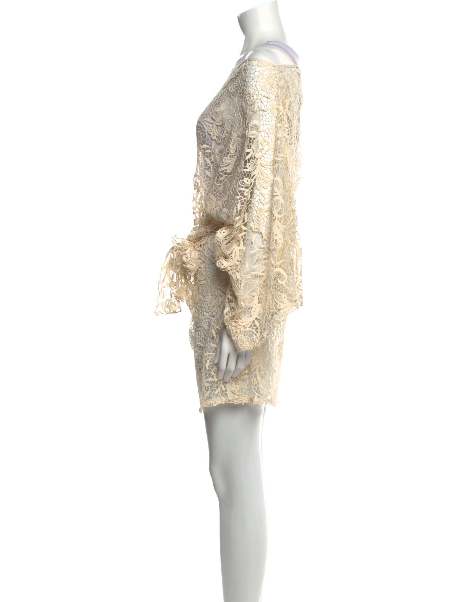 Alexis Lace Pattern Mini Dress