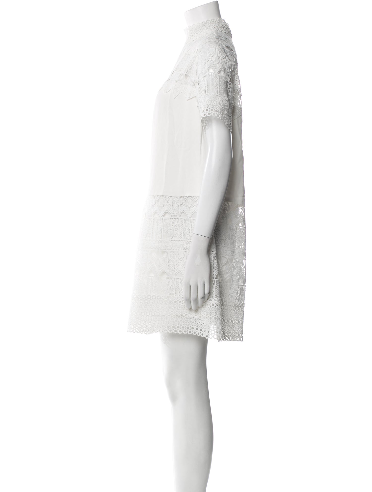 Alexis Mock Neck Mini Dress