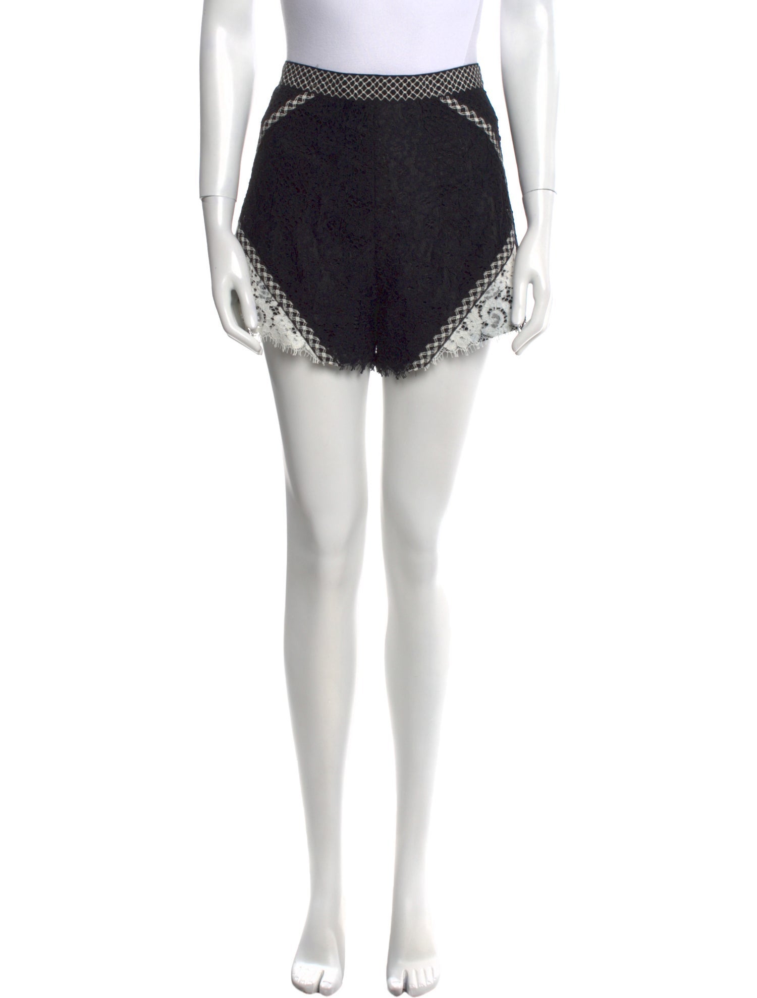 Alexis Nylon Mini Shorts