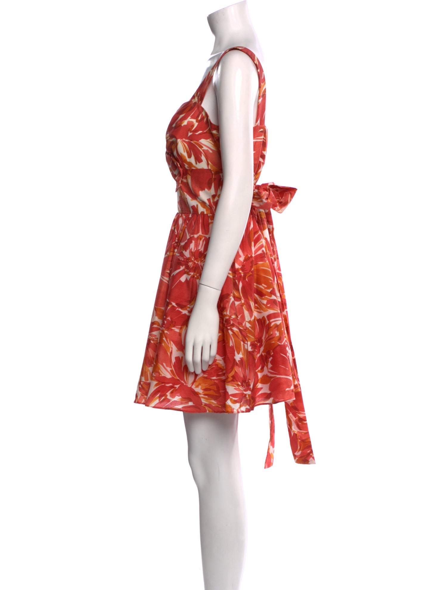 Alexis Floral Print Mini Dress