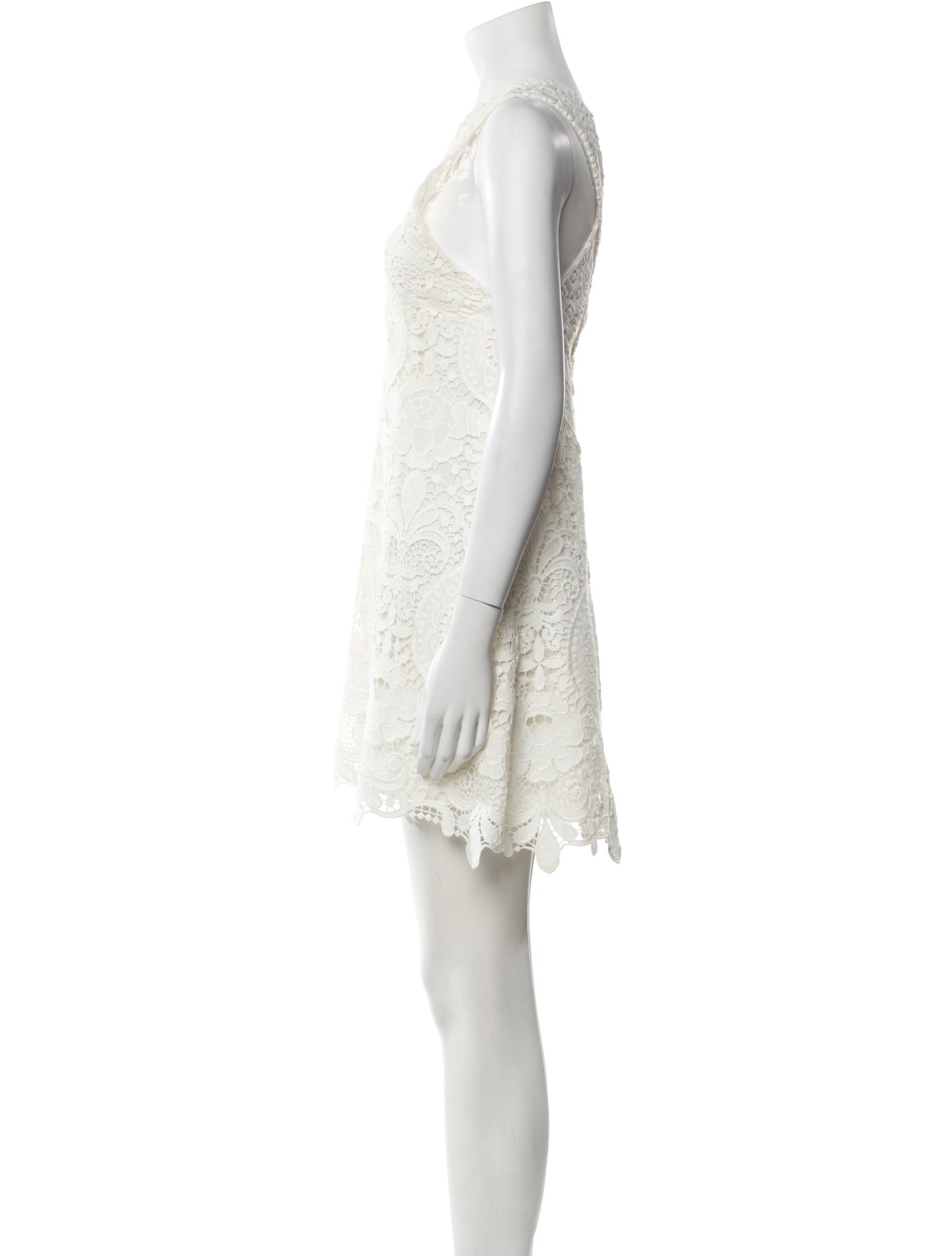 Alexis Lace Pattern Mini Dress