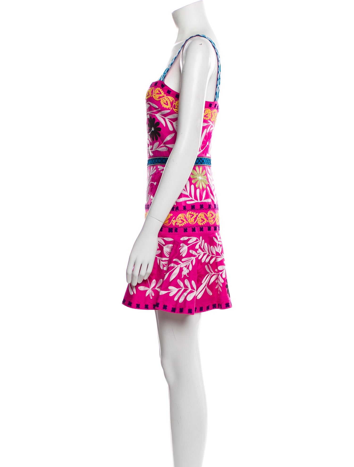 Alexis Floral Print Mini Dress