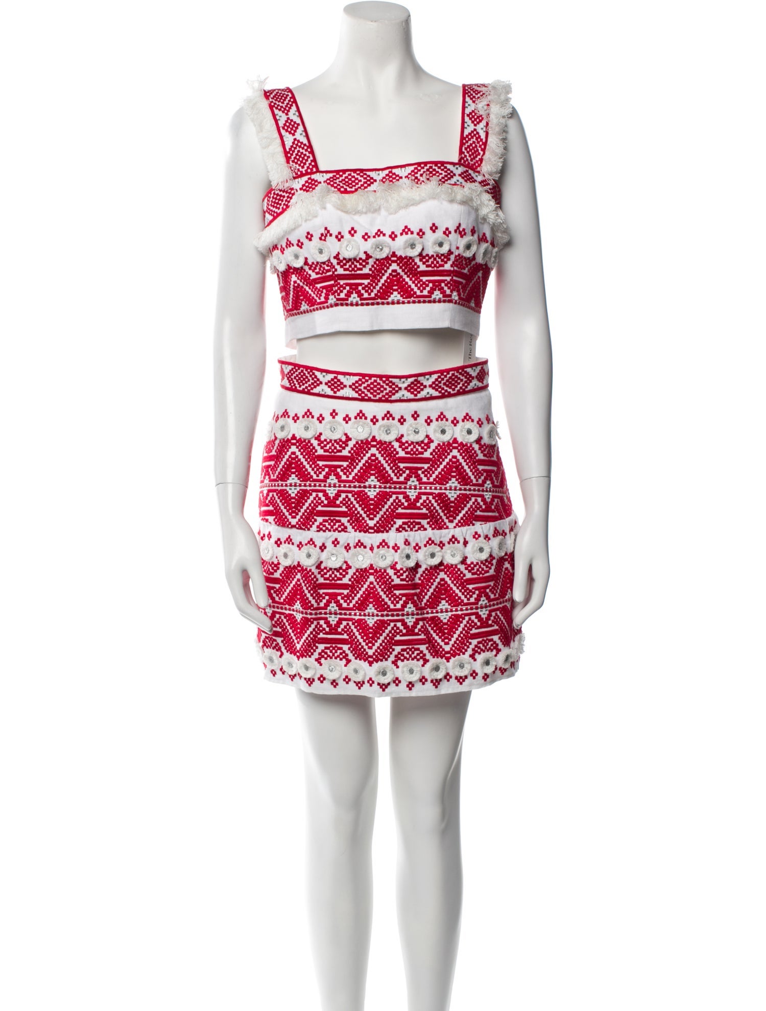 Alexis Patterned Embroidered Accent Skirt Set