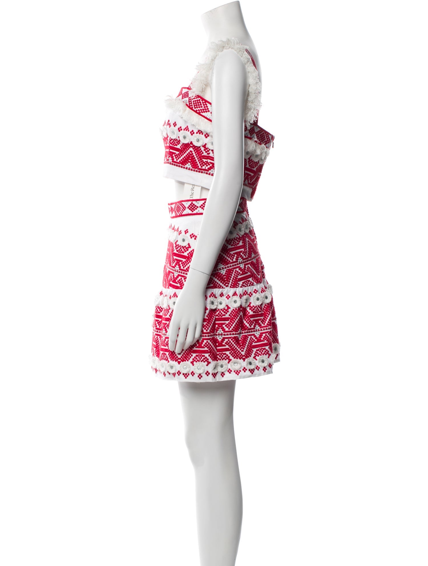 Alexis Patterned Embroidered Accent Skirt Set