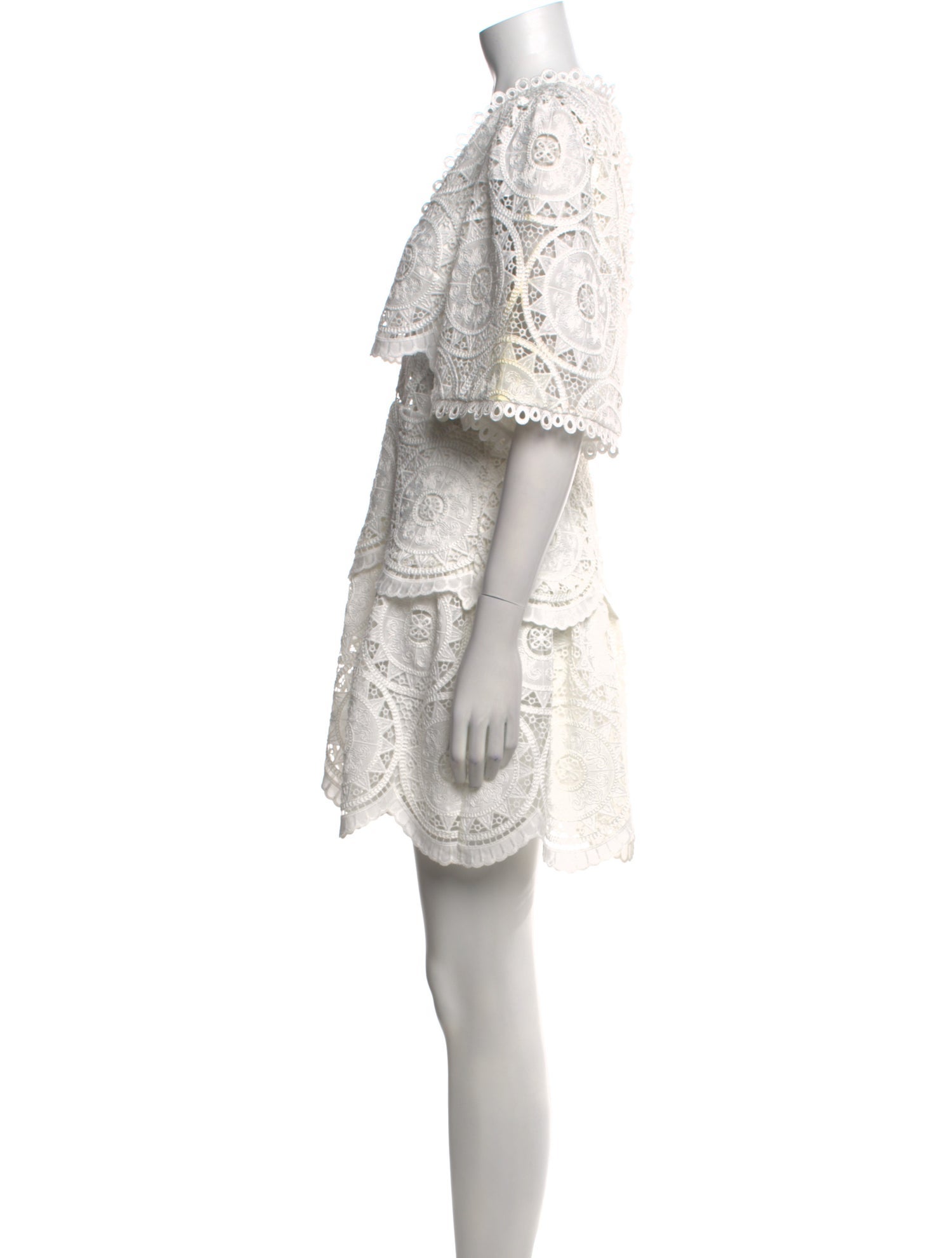 Alexis Lace Pattern Mini Dress