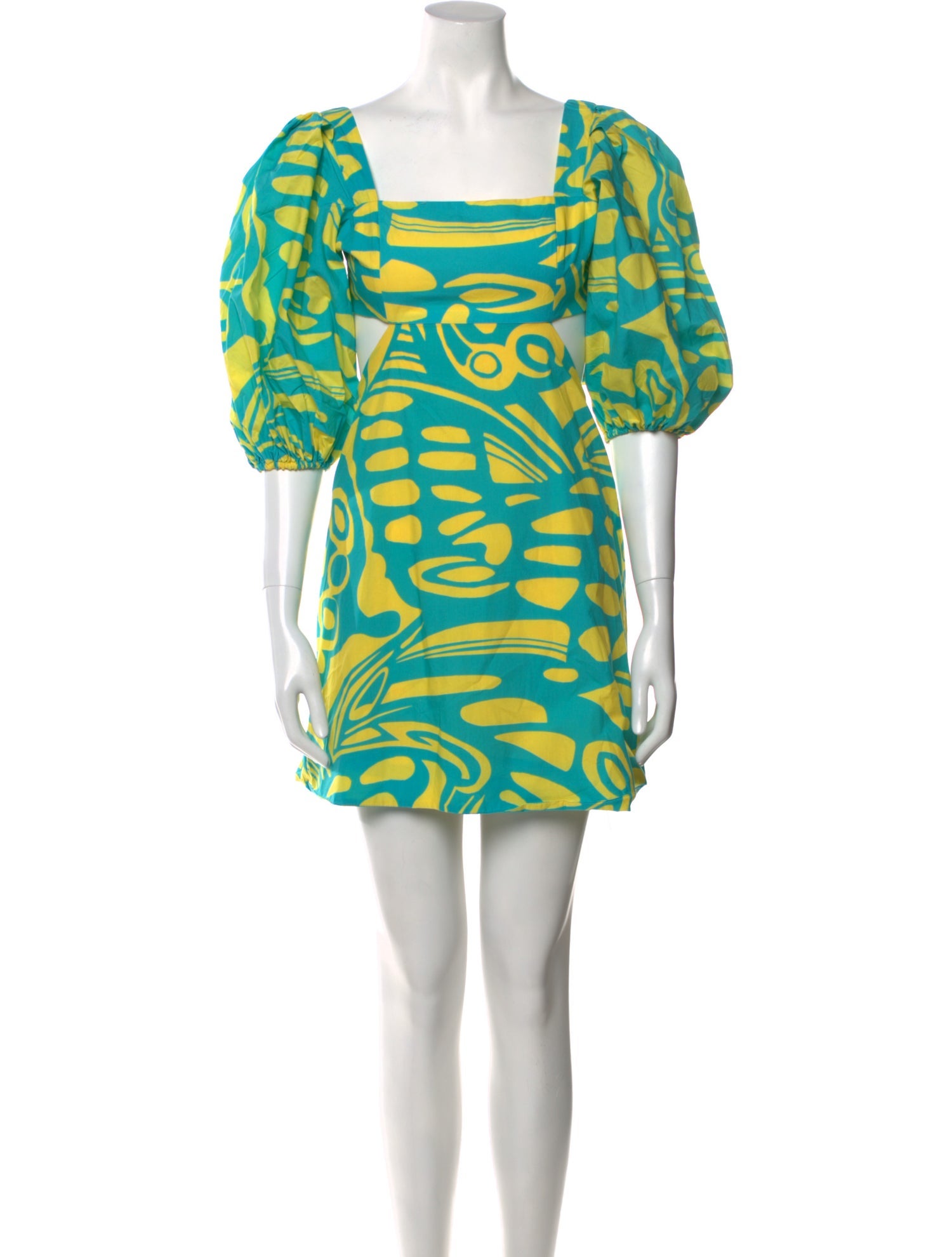 Alexis Printed Mini Dress