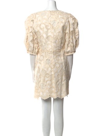 Alexis Lace Pattern Mini Dress