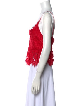 Alexis Lace Lace Pattern Crop Top