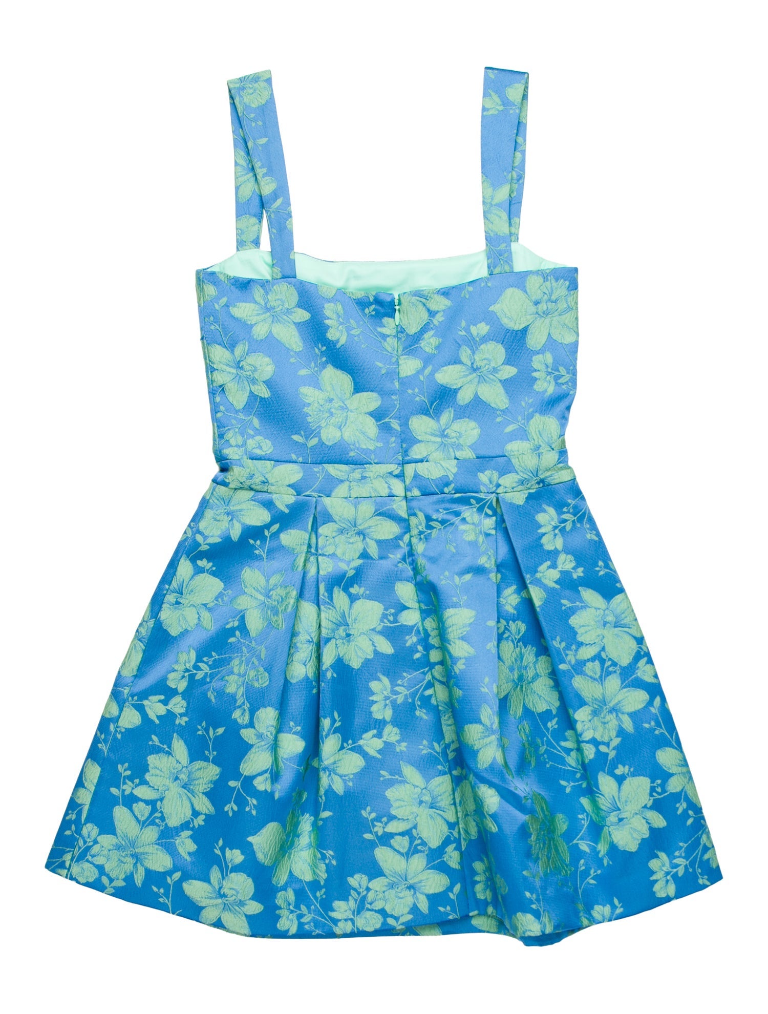 Alexis Floral Print Mini Dress