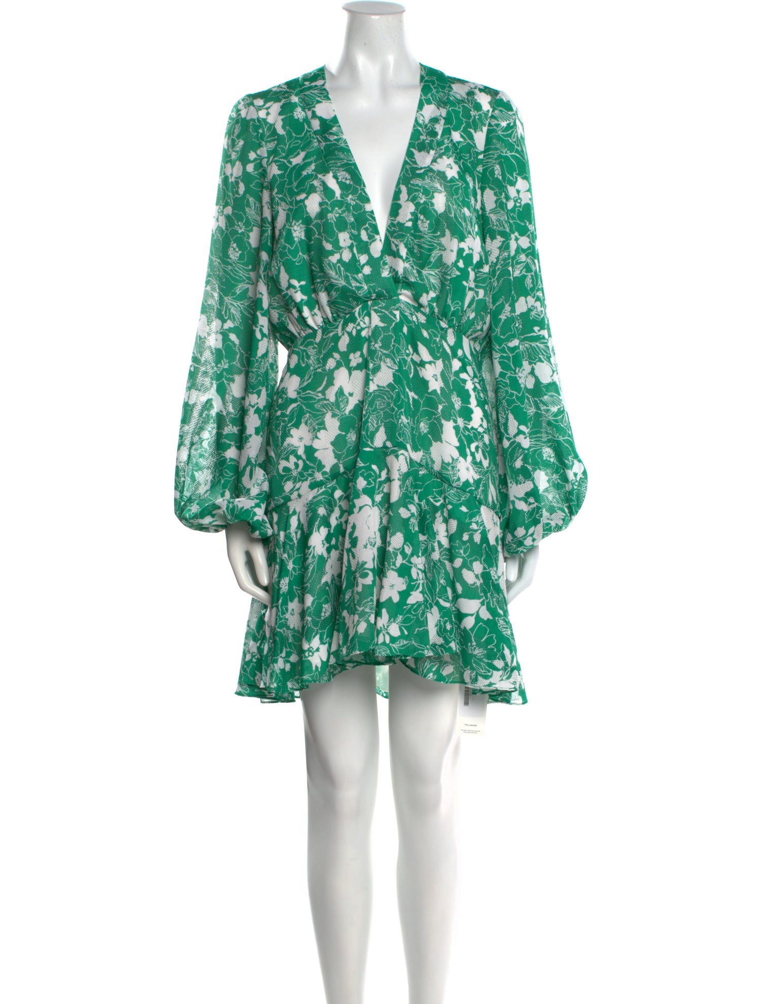 Alexis Floral Print Mini Dress