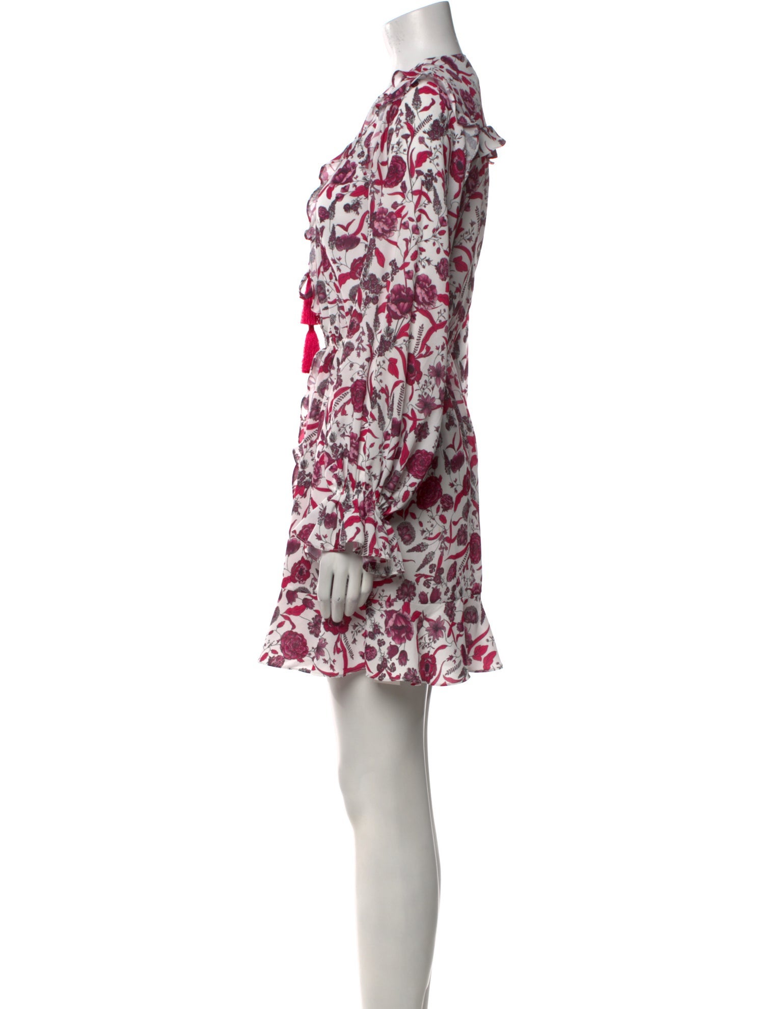 Alexis Floral Print Mini Dress