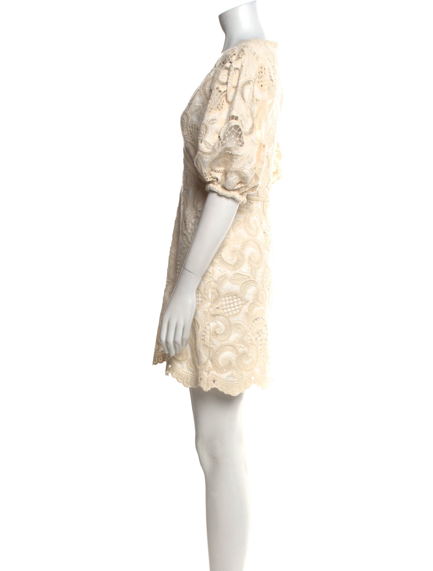 Alexis Lace Pattern Mini Dress