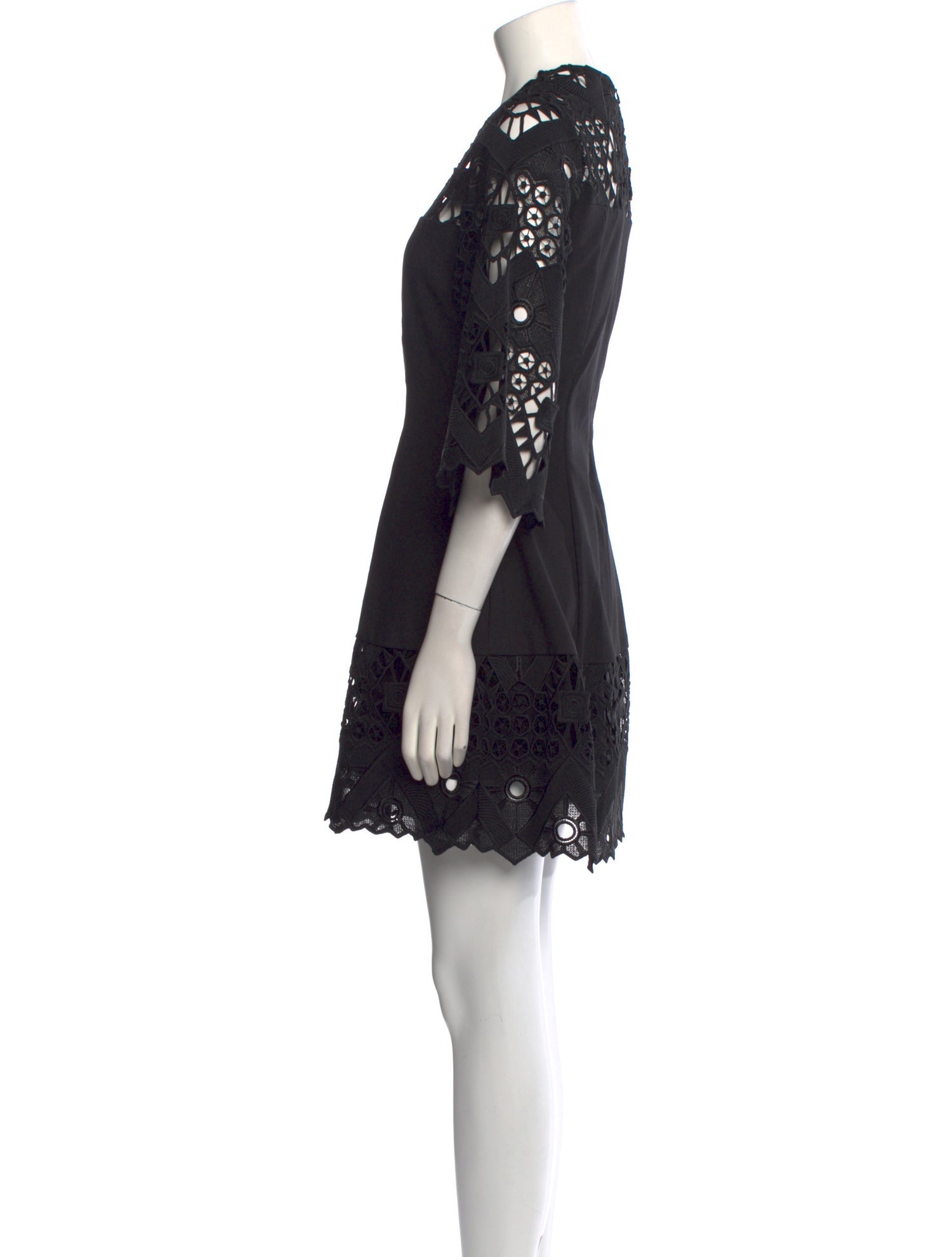 Alexis Lace Pattern Mini Dress