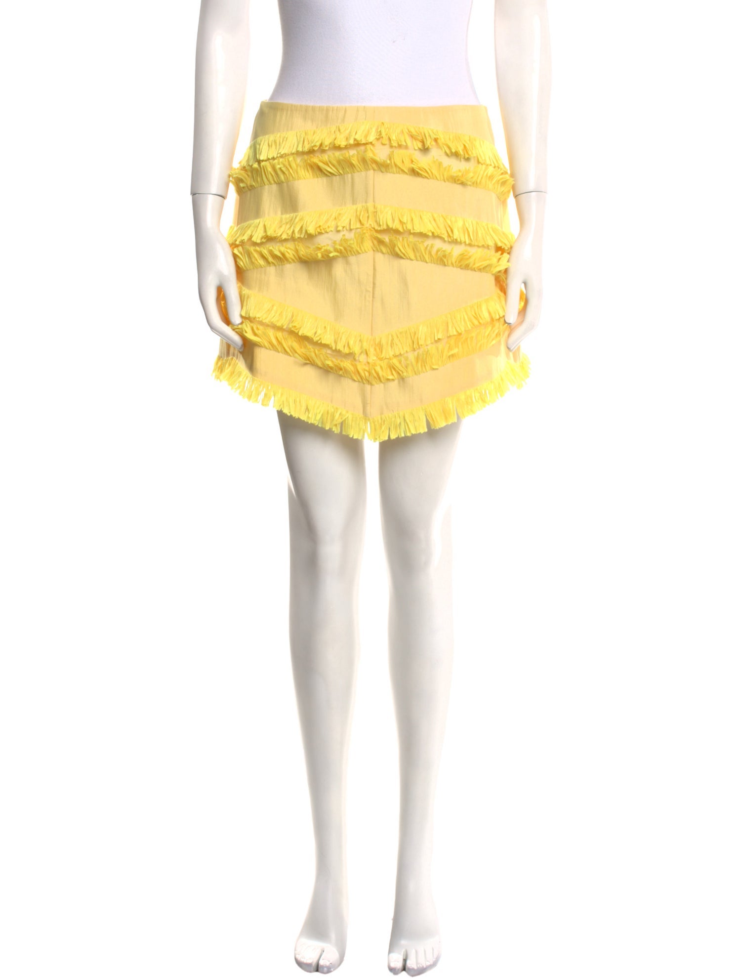 Alexis Fringe Trim Accent Mini Skirt