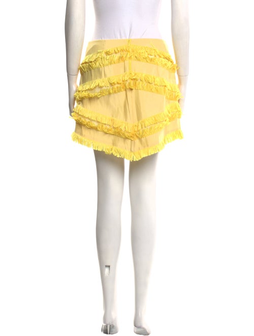 Alexis Fringe Trim Accent Mini Skirt