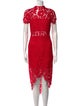 Alexis Lace Pattern Midi Length Dress