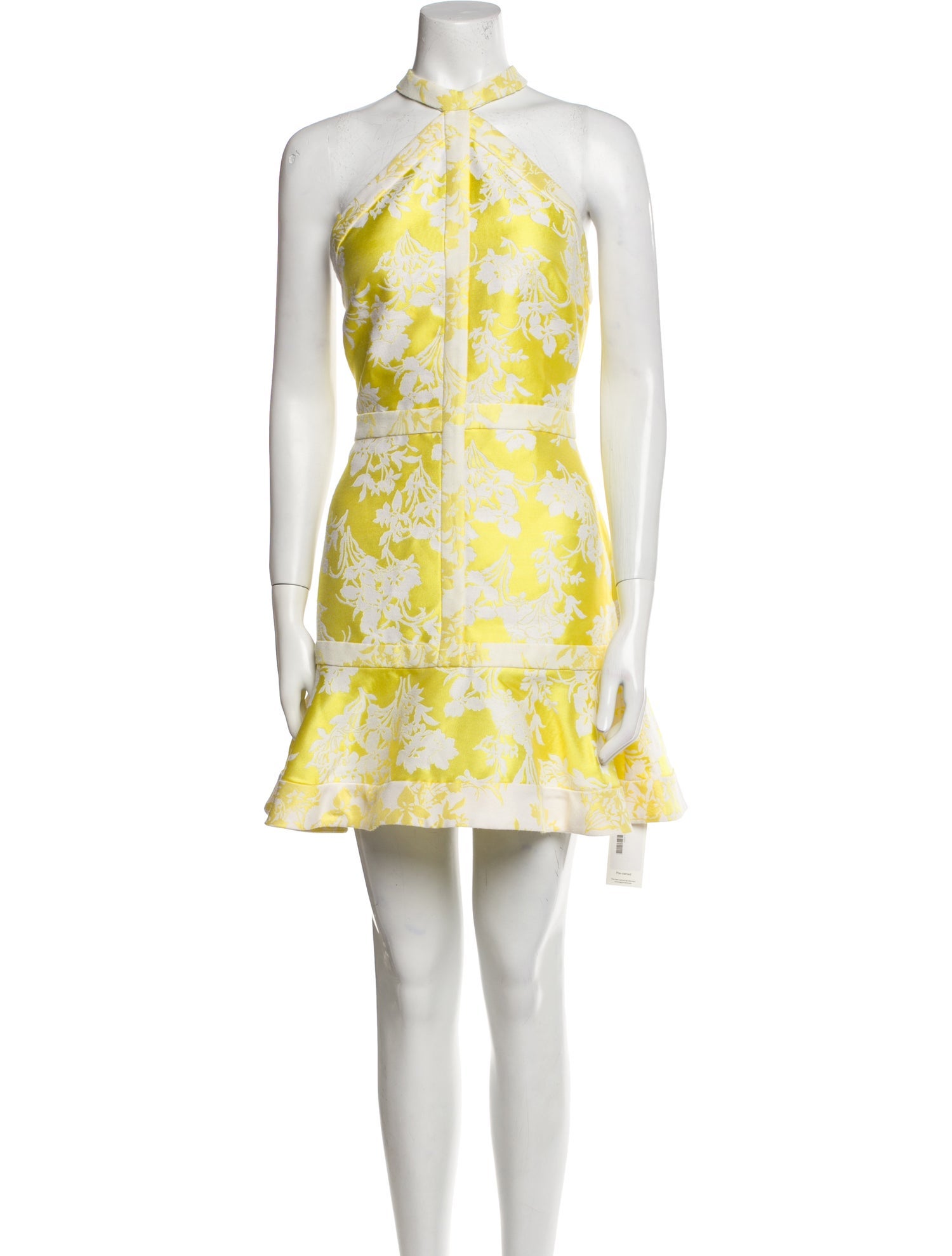 Alexis Floral Print Mini Dress