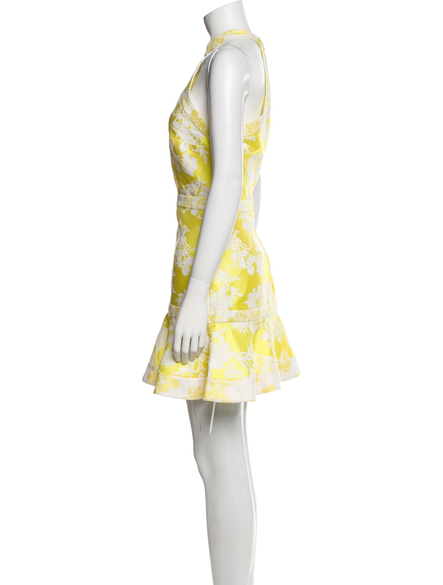 Alexis Floral Print Mini Dress