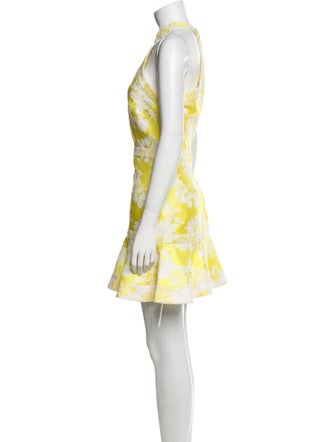 Alexis Floral Print Mini Dress