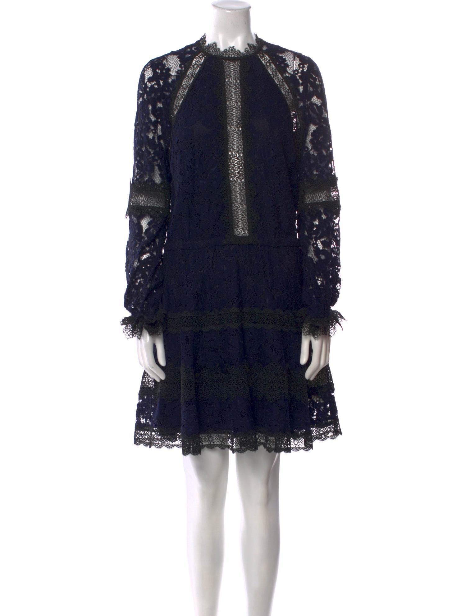 Alexis Lace Mini Dress