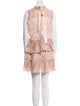 Alexis Lace Pattern Ruffle Embellishment Skirt Set