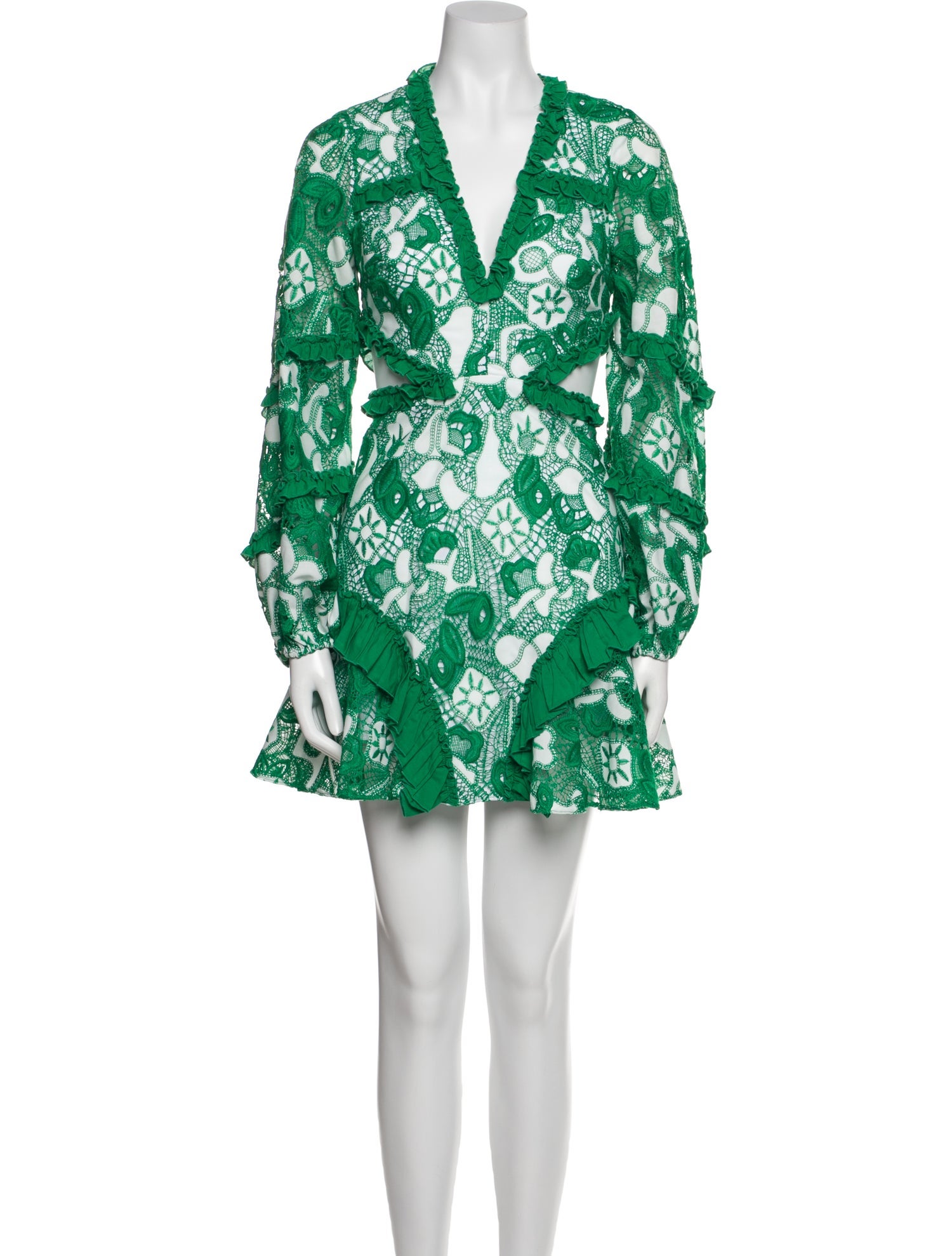 Alexis Floral Print Mini Dress