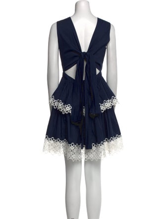 Alexis Crew Neck Mini Dress