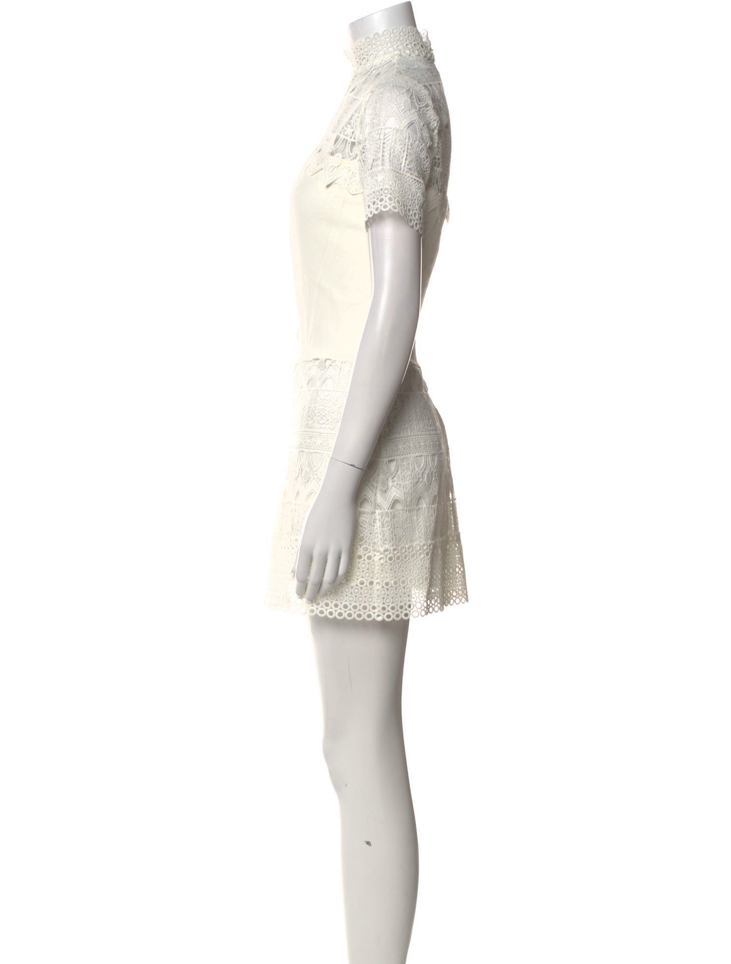 Alexis Lace Pattern Mini Dress