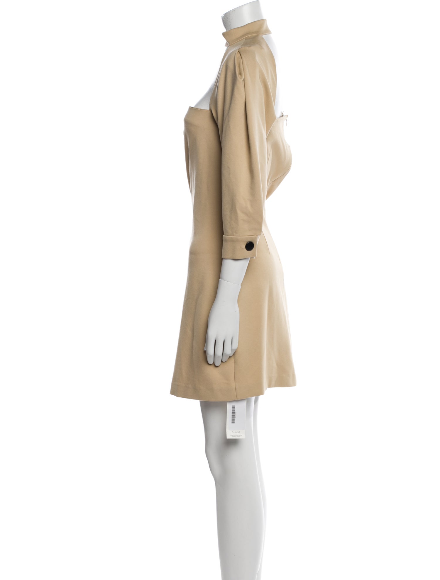 Alexis Mock Neck Mini Dress