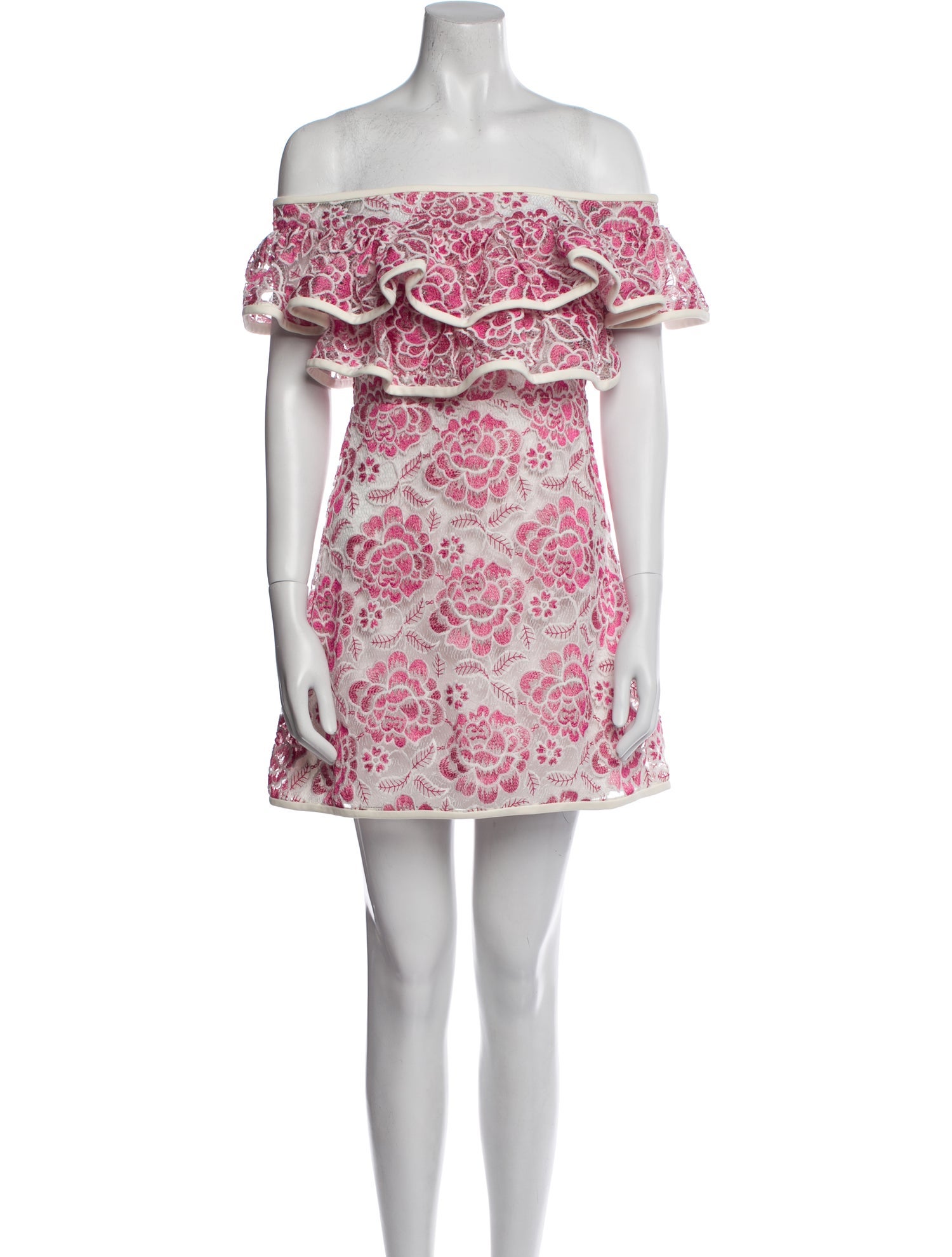 Alexis Floral Print Mini Dress