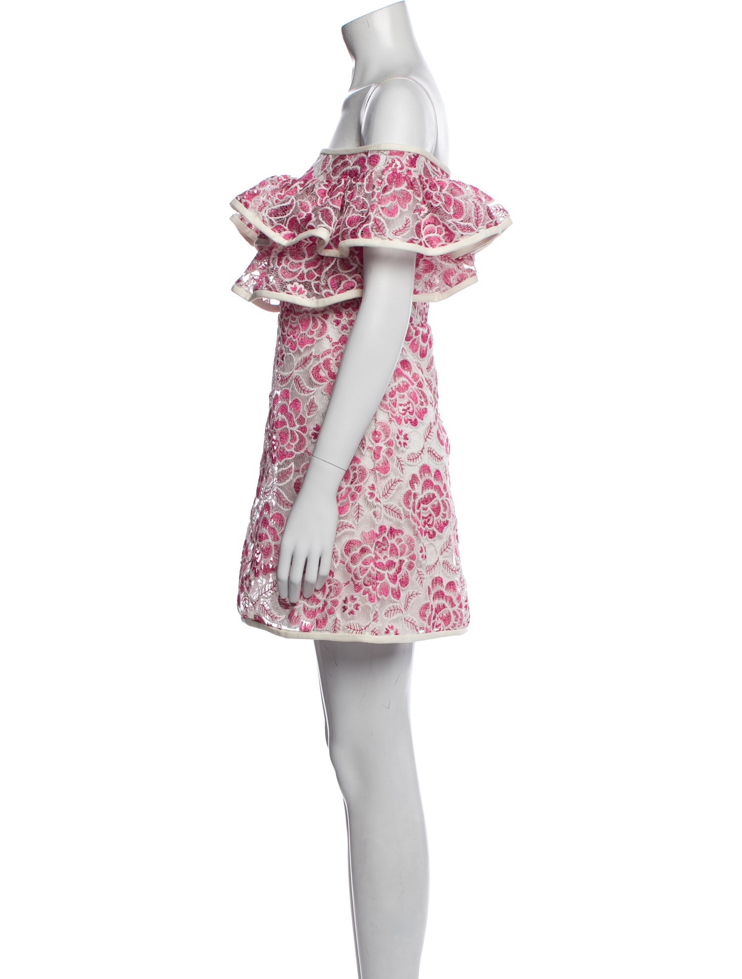 Alexis Floral Print Mini Dress