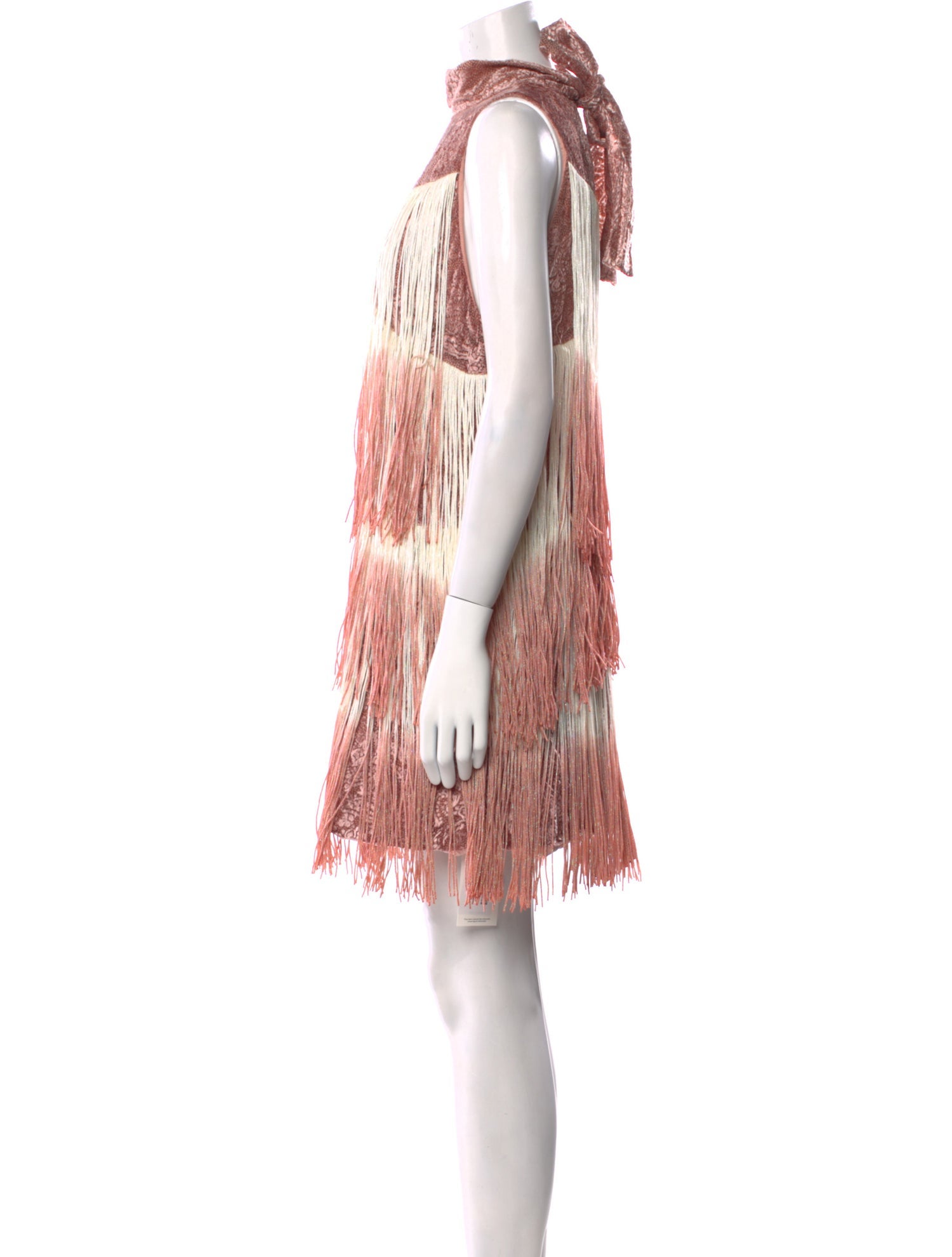 Alexis Printed Mini Dress