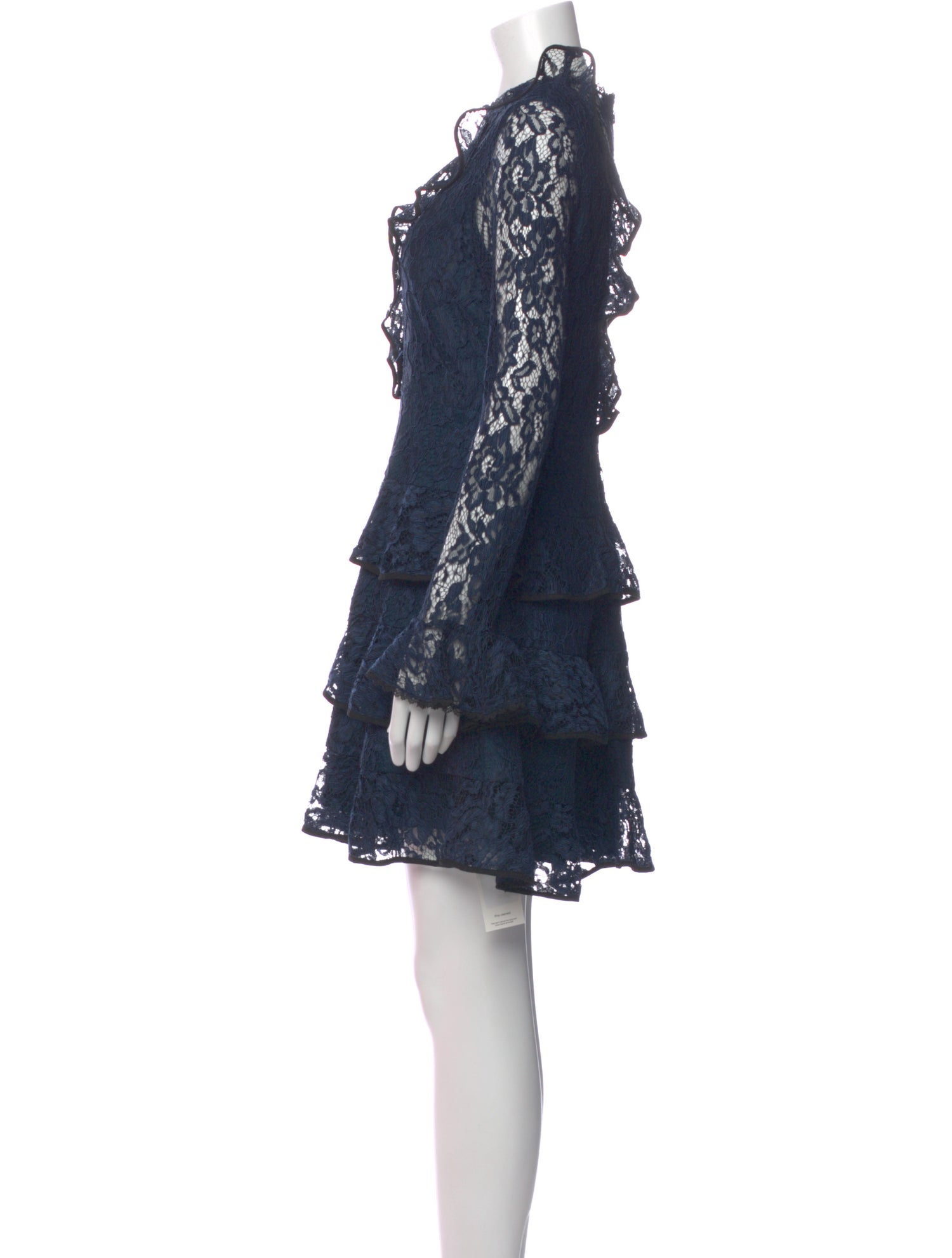 Alexis Lace Pattern Mini Dress