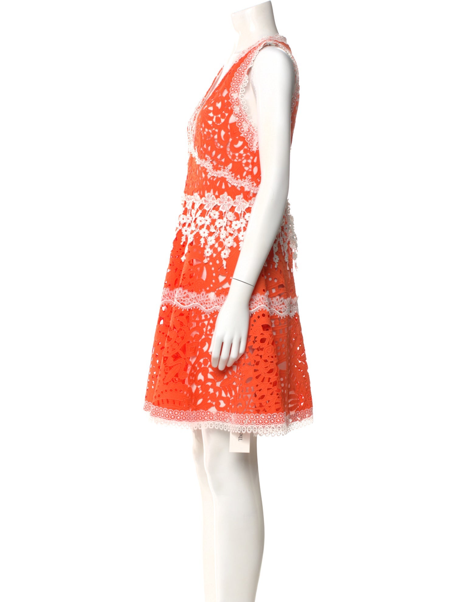 Alexis Lace Pattern Mini Dress