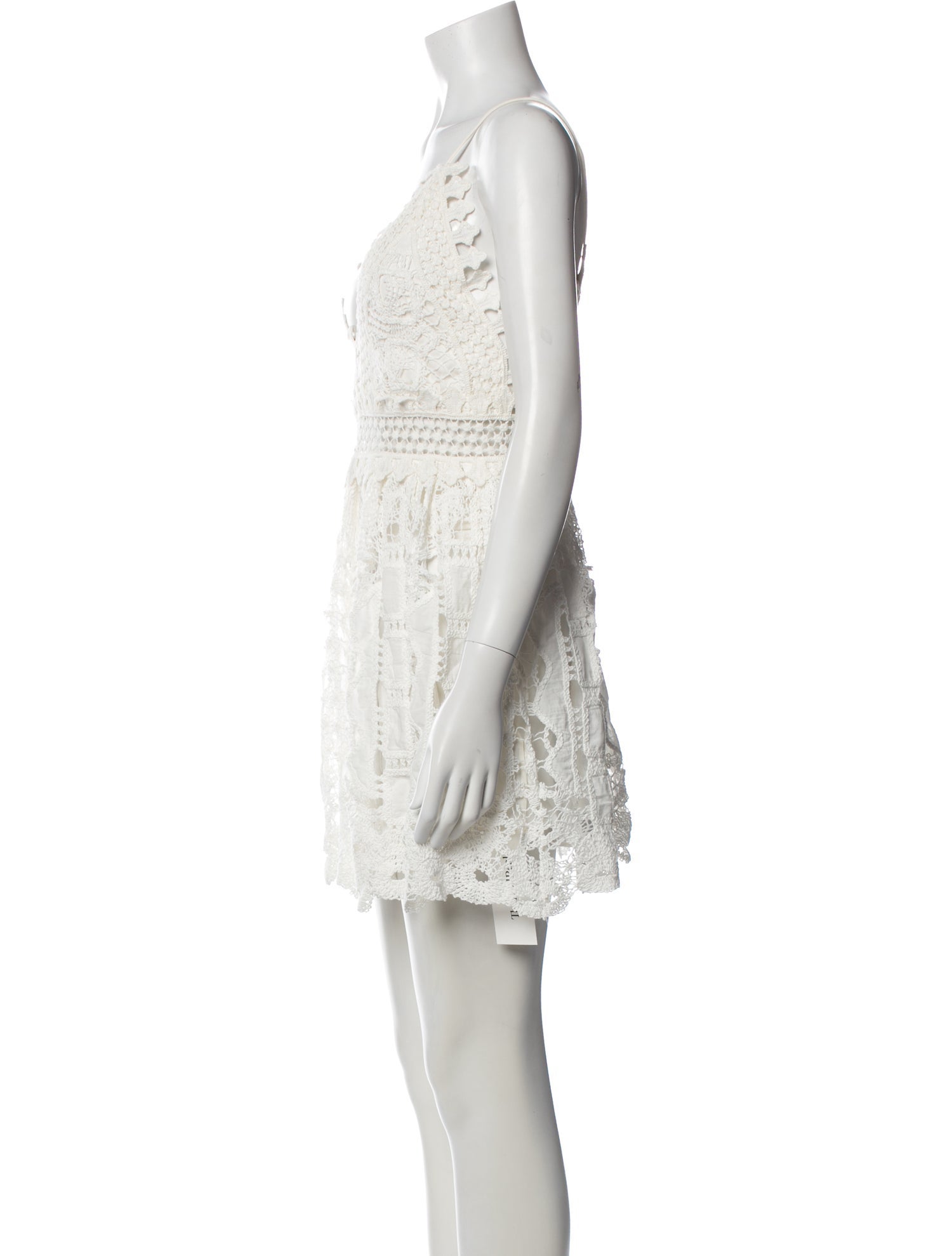 Alexis Lace Pattern Mini Dress